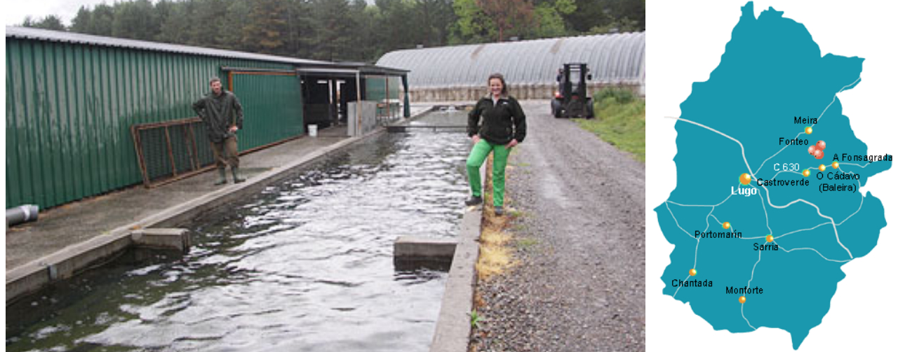 Theme Framework Instalaciones - Fonteo