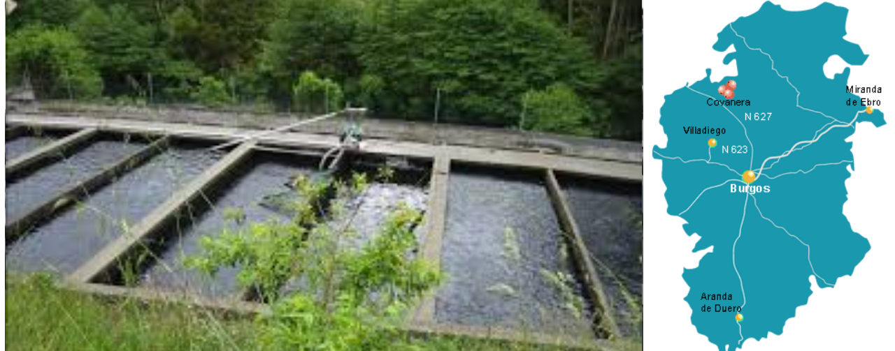 Theme Framework Instalaciones - Covanera