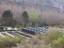 Planta de Pozo Azul